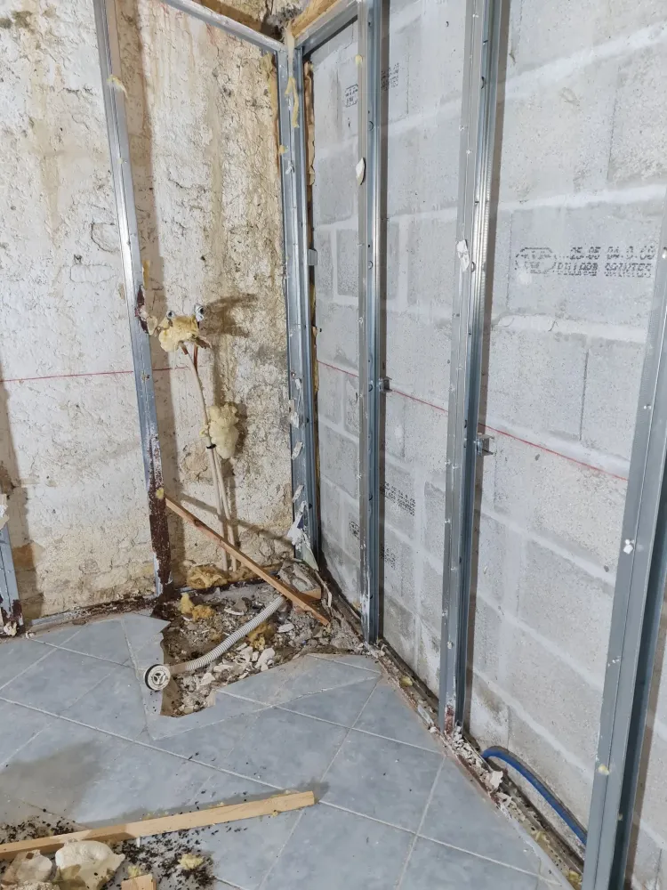 Chantier ENTZMAN AVANT (1)